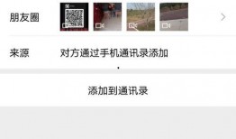 爆料宠物博主视频下载,下载背后的秘密与技巧