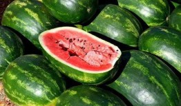 网红吃瓜qq图片高清版,高清版揭秘幕后真相