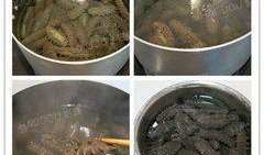 即食海参爆料怎么做视频,轻松掌握美味海参烹饪技巧